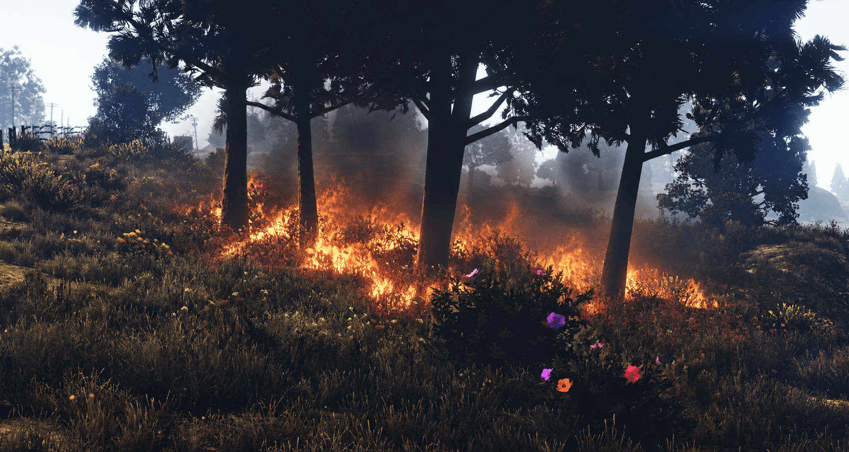 roadmap-pozary-1